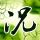 麦子地里故事